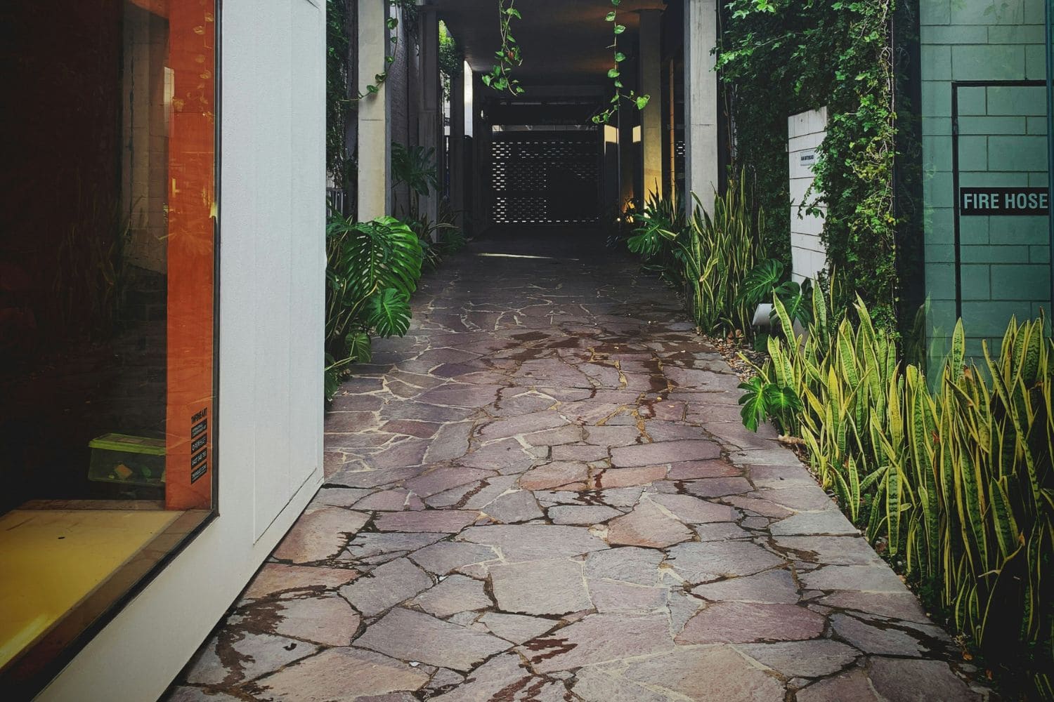 Gallery-Image